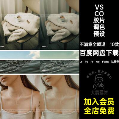 婚礼人像VSCO胶片预设Lr丨Ps丨Pr丨Ae丨Fcpx丨达芬奇10款街滤镜