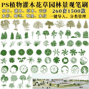 PS笔刷树草本植物花草树木水墨云彩平面立面园林景观后期笔刷素材