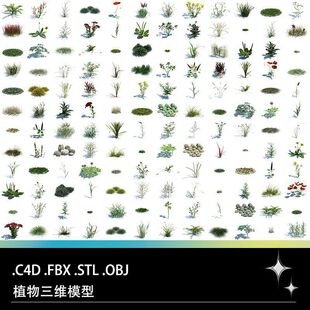 FBX OBJ植物稗草野芝麻菵草蒲公英梯牧草虉草车前草艾草模型 STL