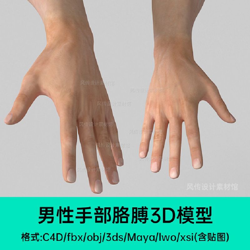 男人手部3D模型真人胳膊手臂C4D建模素材手皮肤贴图max人物手势