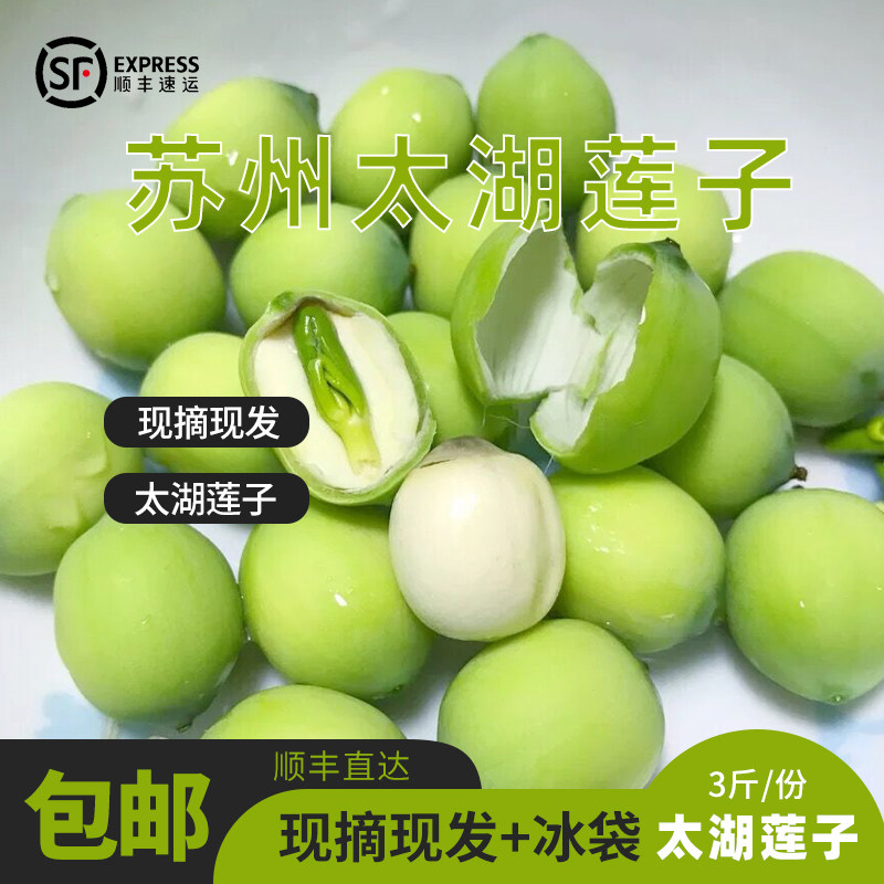 苏州太湖莲蓬新鲜莲子米现摘当季水果整箱特产即食非洪湖3斤顺丰