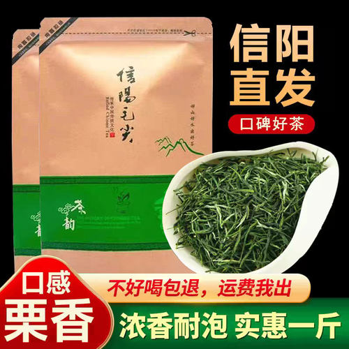 2026新茶信阳毛尖浓香袋装500g