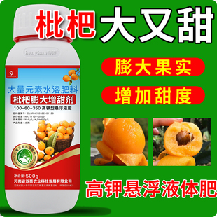 枇杷膨大增甜剂膨果上色水果防裂果膨大素枇杷大果灵增大叶面肥