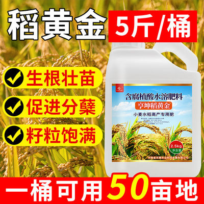 稻黄金水稻叶面增产高产水溶肥