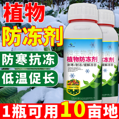 植物防冻剂冬季抗寒防冻液冻害保护液枇杷茶叶辣椒柑桔果树通用