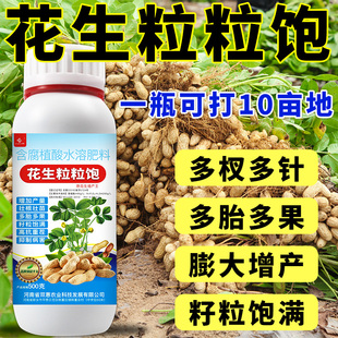 花生膨壮粒粒饱花生控秧籽粒饱籽粒宝膨大粒粒宝增产专用叶面肥