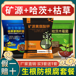 防根腐套餐哈茨木霉菌枯草芽孢菌杆菌矿源黄腐酸钾农用微生物菌剂
