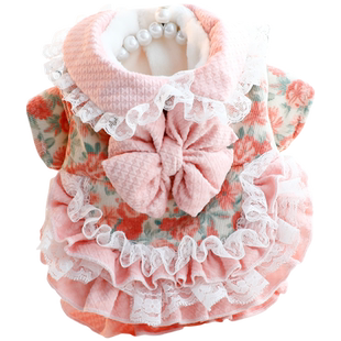 狗狗衣服秋冬装厚款猫咪公主裙牵引洛丽塔甜美小型犬泰迪宠物5885