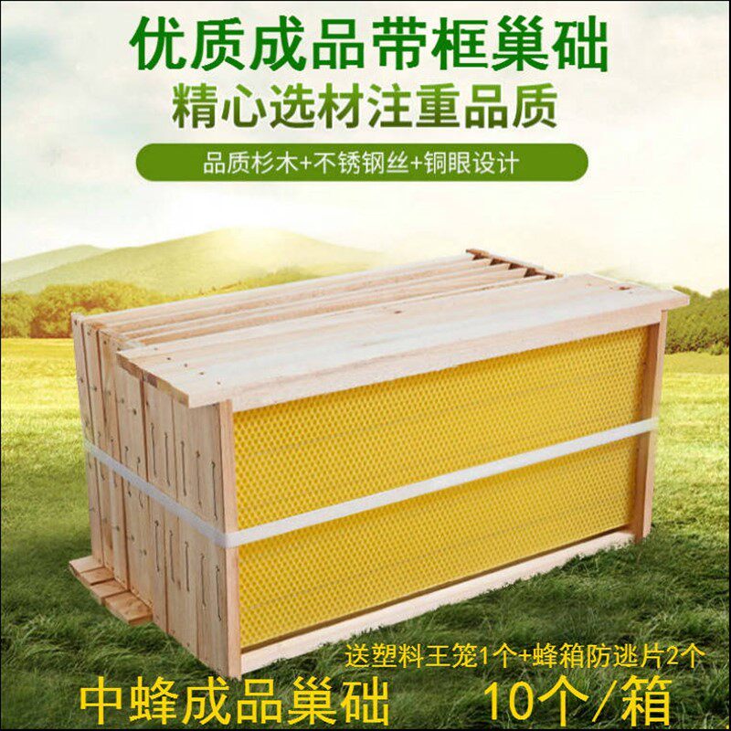 中蜂巢础中峰成品杉木巢框带巢基全套蜜蜂箱专用蜂具养蜂工具