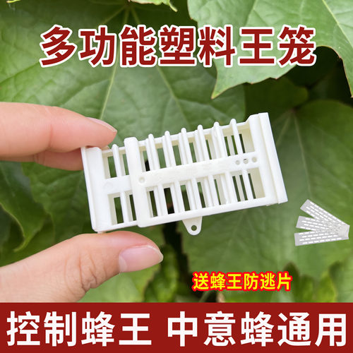 多功能中蜂囚王笼塑料王笼工具
