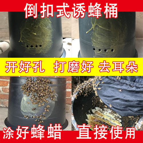 诱蜂桶黑色塑料桶收蜂笼招蜂水桶野外捕捉蜜蜂养蜂桶引蜂箱中蜂蜡 - 封面