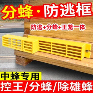 中蜂分蜂器收王器防逃框巢门除雄蜂带王笼自动收王控制器囚王笼