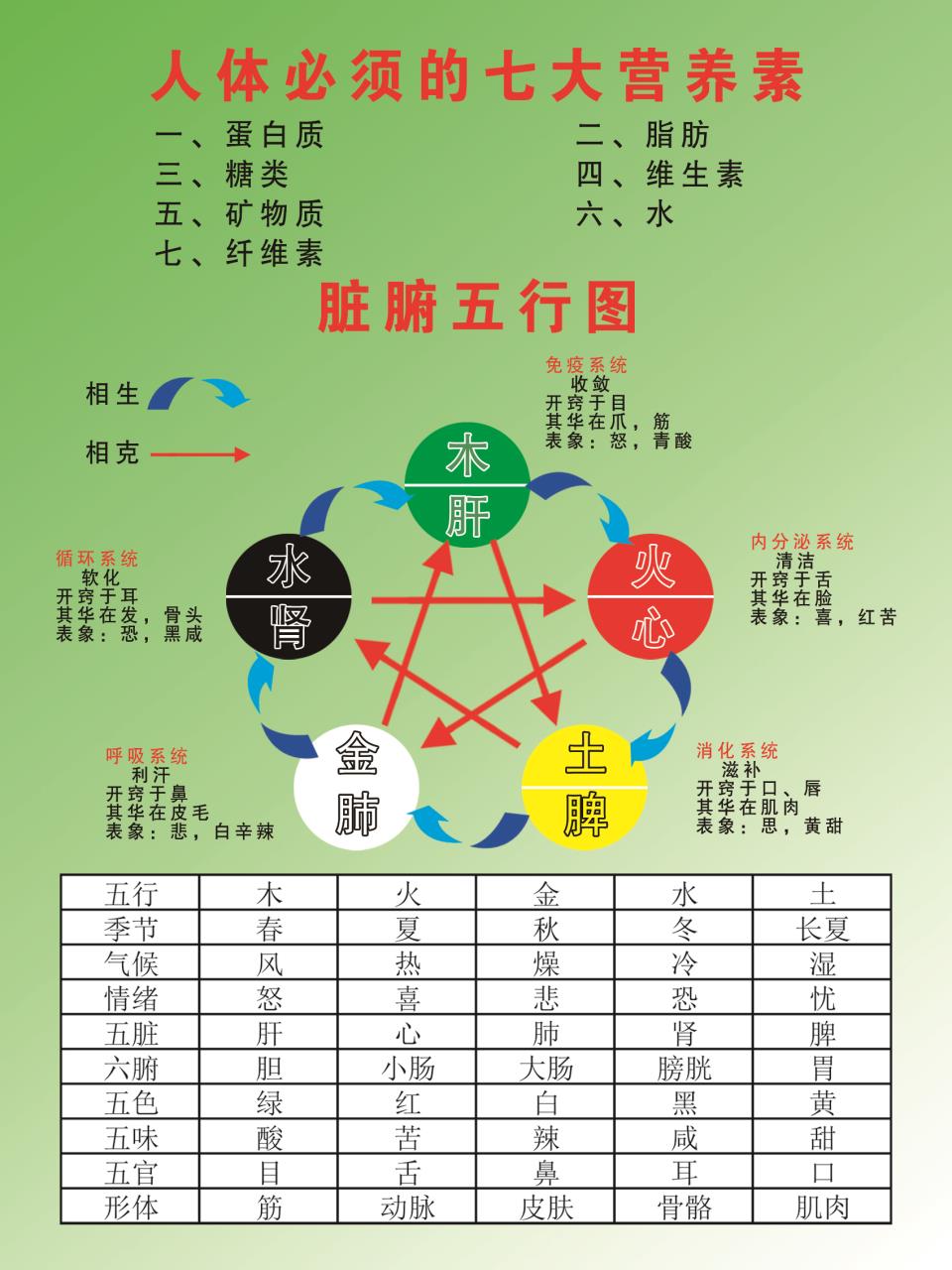 人体必须的七大营养素海报装饰画贴纸贴画广告画制作新品上市
