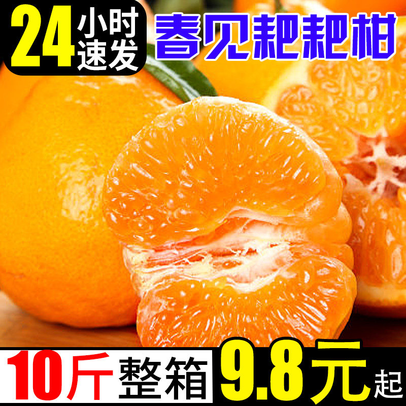 耙耙柑春见桔子新鲜橘子当季时令水果应季蜜橘整箱粑粑柑橘