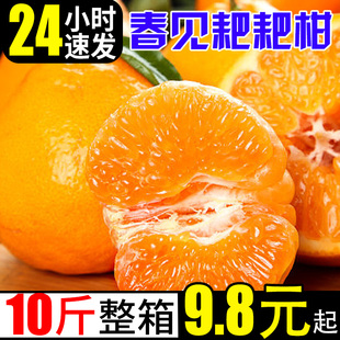 耙耙柑春见桔子新鲜橘子当季时令水果应季蜜橘整箱粑粑柑橘