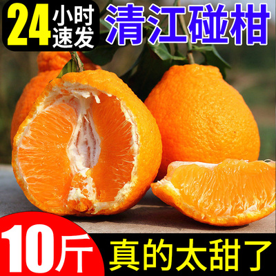 清江椪柑现摘现发特甜多汁