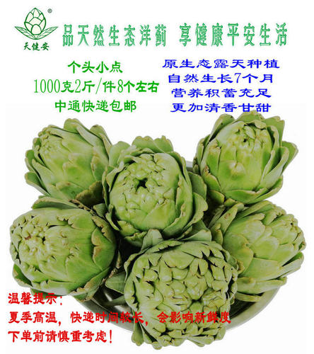 新鲜洋蓟朝鲜蓟菜蓟1000克2斤云南生态洋蓟洋百合中通快递包邮