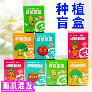 小学生奖励植树节DIY种植盲盒盆栽长草娃娃幼儿园礼物品迷你绿植