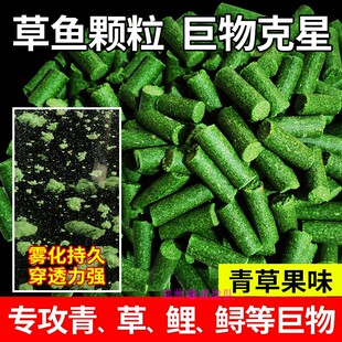 钓鱼巨大物青草翘鳊鲤鱼专用黑坑野钓打底窝皮筋挂钩果味颗粒饵料