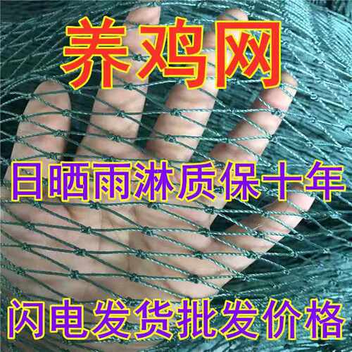 鱼网网片拉网养殖网渔网聚乙烯网片尼龙网捕鱼网布有结网养鸡网 - 封面