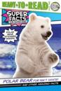 还有其他令人惊讶 皮毛不是白色 英语课外阅读 Other Facts Polar Bear White 英文原版 Amazing 事实 Isn Fur And 北极熊