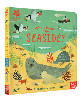 英文原版 National Trust Who's Hiding at the Seaside? 谁躲在海边 纸板趣味翻翻书 海洋动物 儿童启蒙早教认识科普绘本 大嘴鸟