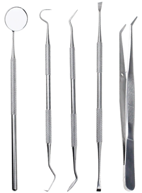 泰迪牙结石宠物牙垢口腔工具狗狗