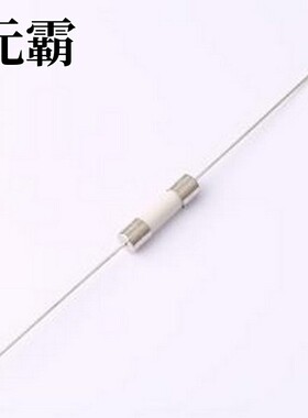 0215002.MXESPP 一次性保险丝 FUSE 250V 5x20 Single PGT HBC 2A
