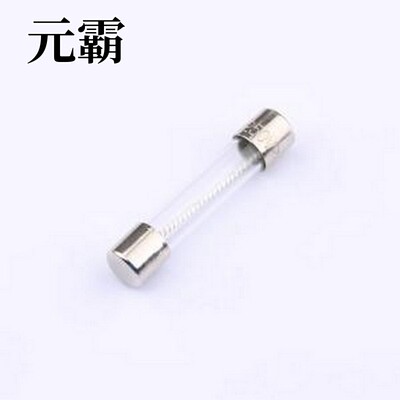 0313004.MXP 一次性保险丝 250V