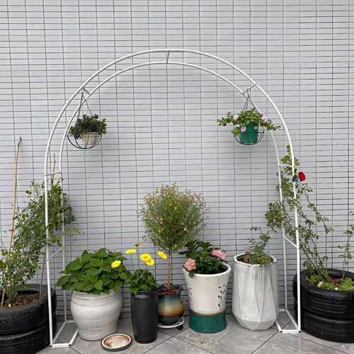 弧形户外庭院花园月季植物支撑杆