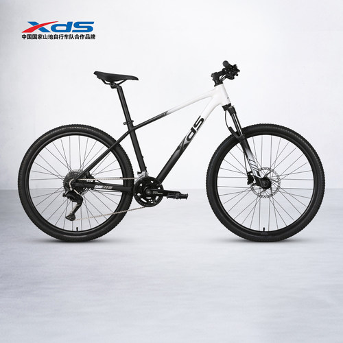 2025款逐日800大轮径18速油碟车