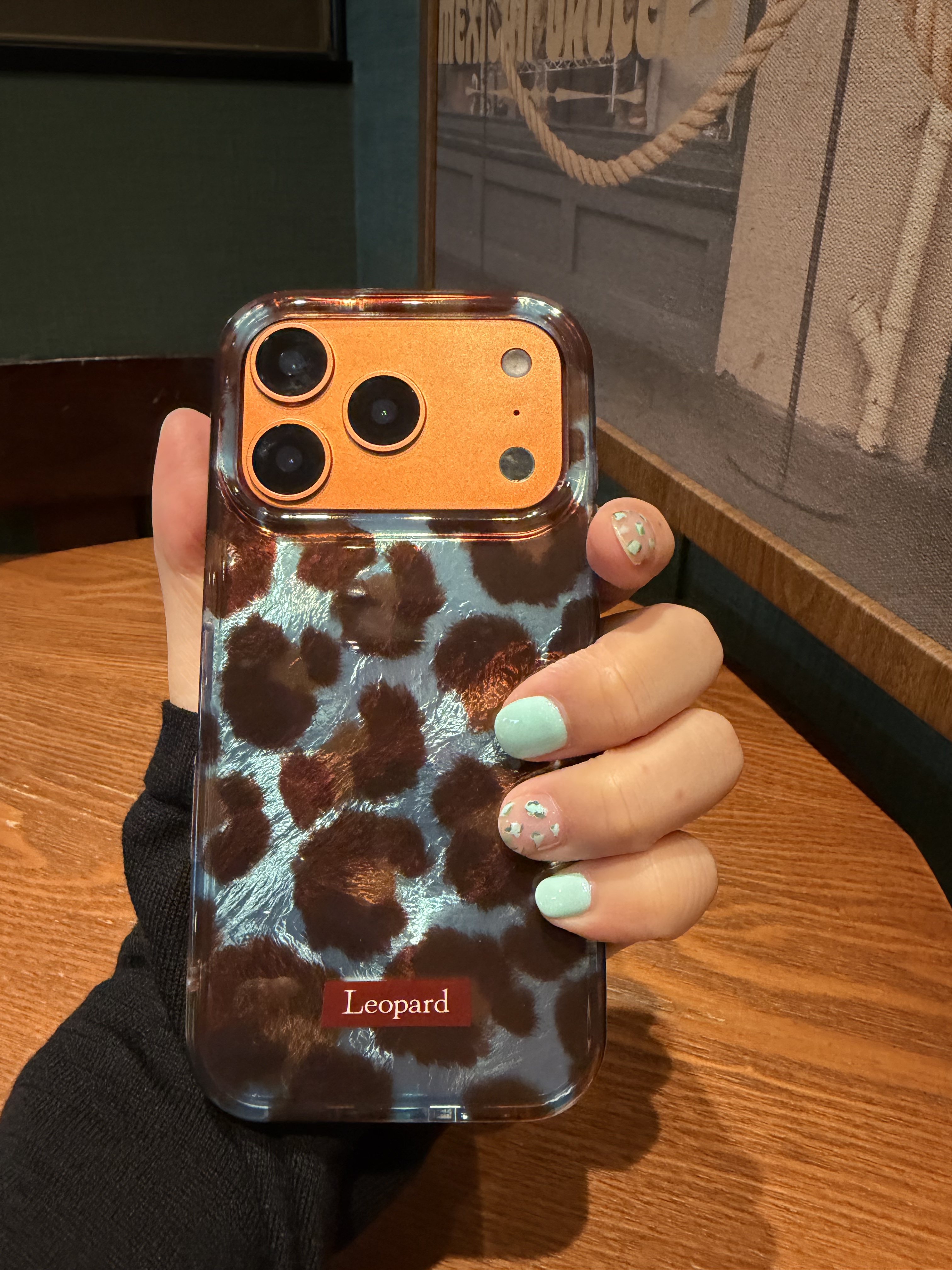 真爱过份 新款17pro适用苹果16promax的手机壳棕蓝豹纹iphone15高级感小众14pro巨好看独特爆款超火13保护壳