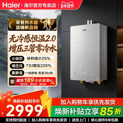 国补无冷感2.0海尔官方燃气热水器新款家用天然气16升恒温静音H10