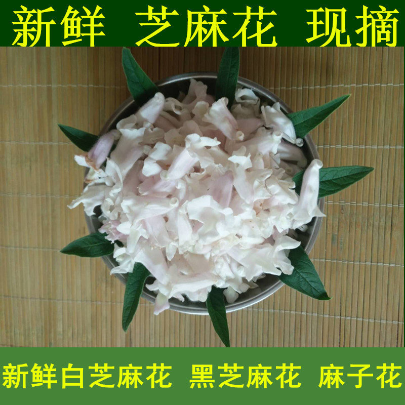 新鲜芝麻花芝麻花鲜花黑芝麻花新鲜麻子花干芝麻花芝麻花干芝麻杆