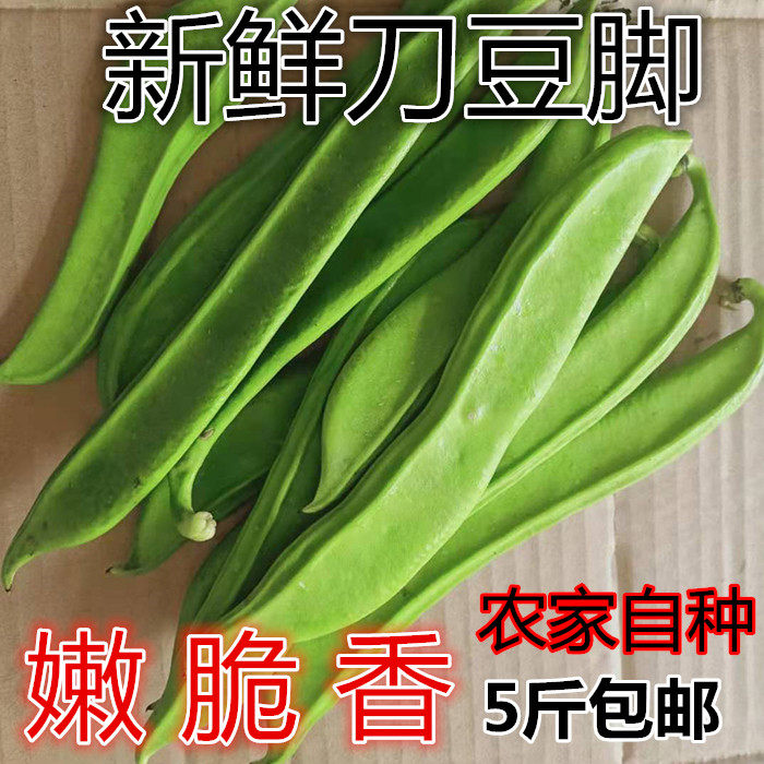 新鲜刀豆农家自种5斤包邮江西