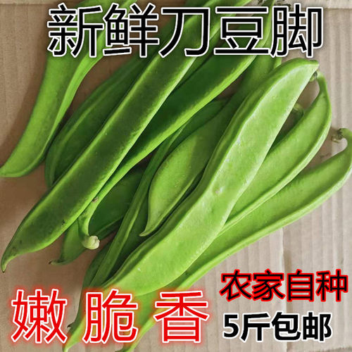 刀豆新鲜嫩青刀把豆刀豆角农家种植5斤江西特产时令蔬菜剁椒原料