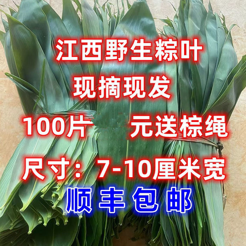粽叶新鲜粽子叶大号野生农家箬叶现摘现发100片大叶家用端午包粽
