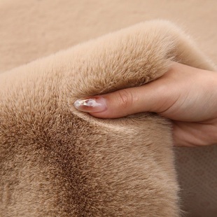 奶油风兔毛绒地毯卧室ins床边地毯衣帽间客厅飘窗沙发毯地垫橱窗