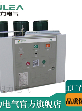 10kv开关VS1(ZN65)高压 断路器VS1-12/630-25/1250户内 真空智能