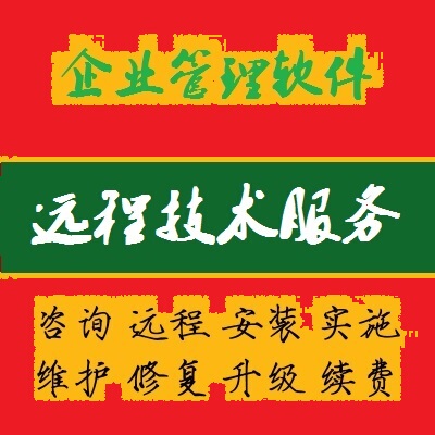 管家婆服务装SII+TOP进销存管理