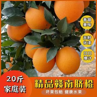 【京东包邮】正宗江西赣南脐橙带箱10斤-20斤新鲜水果原产地直发