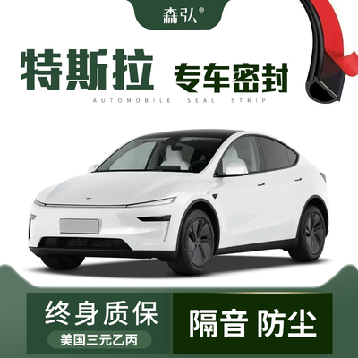 【只做高端】特斯拉Model Y/X/S/3汽车改装隔音防尘密封条