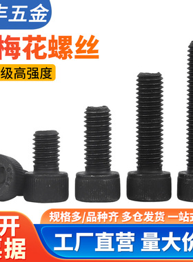 12.9级高强度梅花孔螺丝钉圆柱头内六角螺栓M3M4M5M6M8M10M12*30