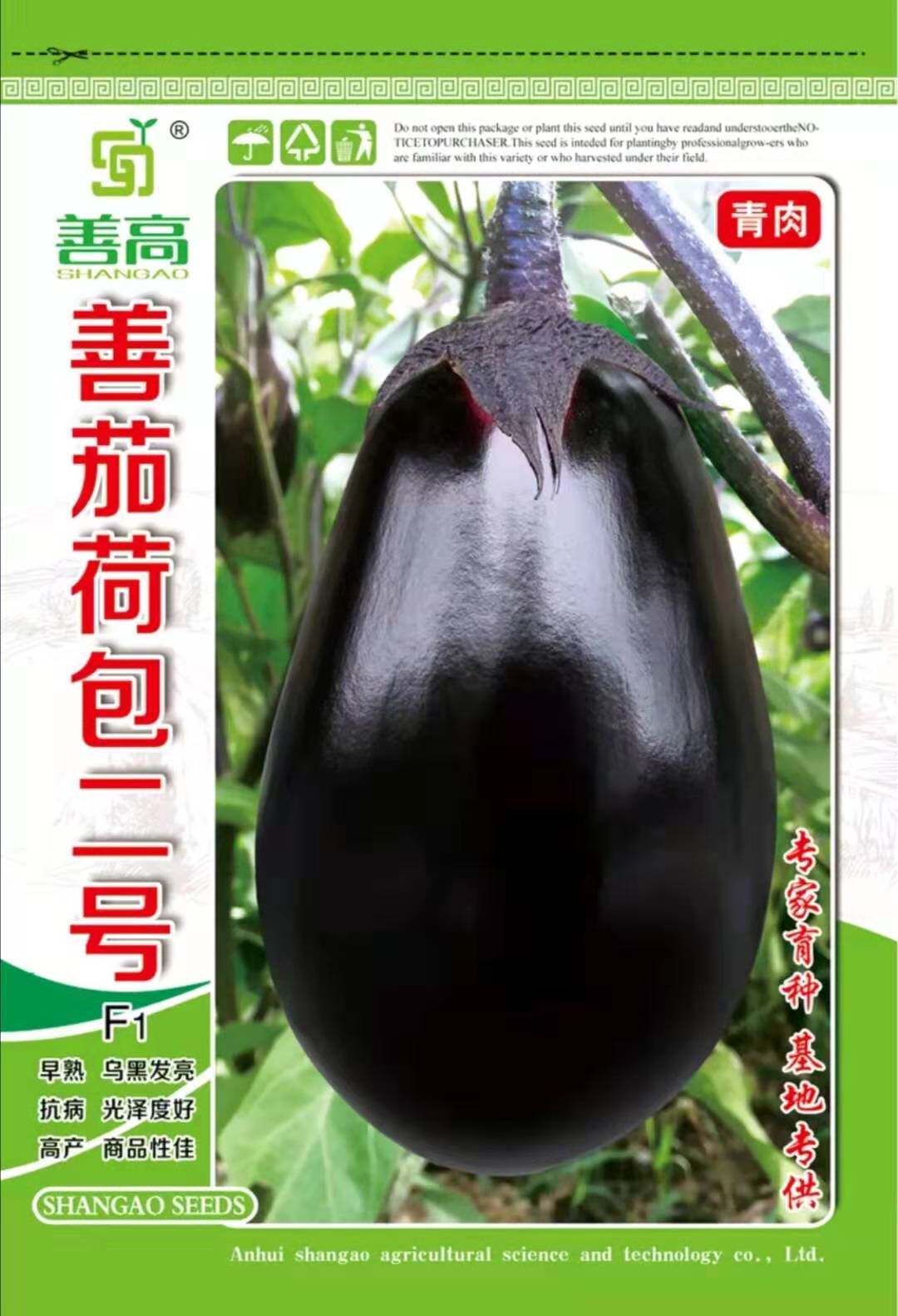 善茄荷包二号杂交茄子种子极亮极早紫黑荷包椭圆形大果绿肉大田用