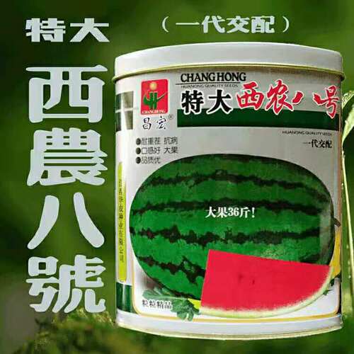 红瓤西瓜种子昌宏特大西瓜种子