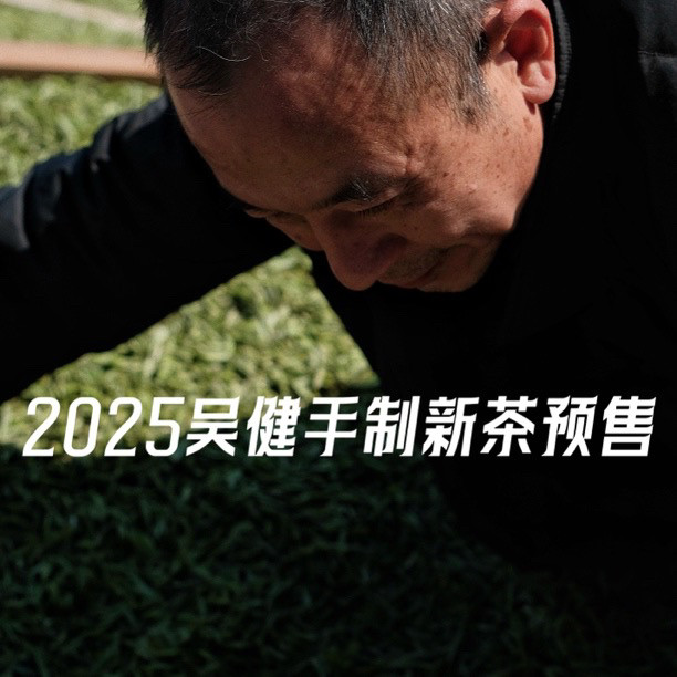 双春隆白茶吴健作品2025年吴健手制荒野白毫银针100克-500克包邮