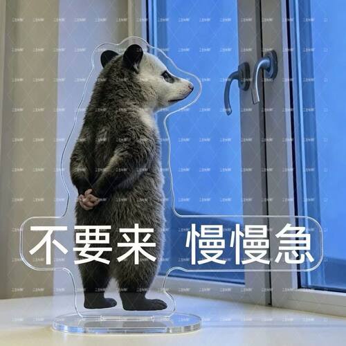 可爱治愈负鼠表情包亚克力立牌