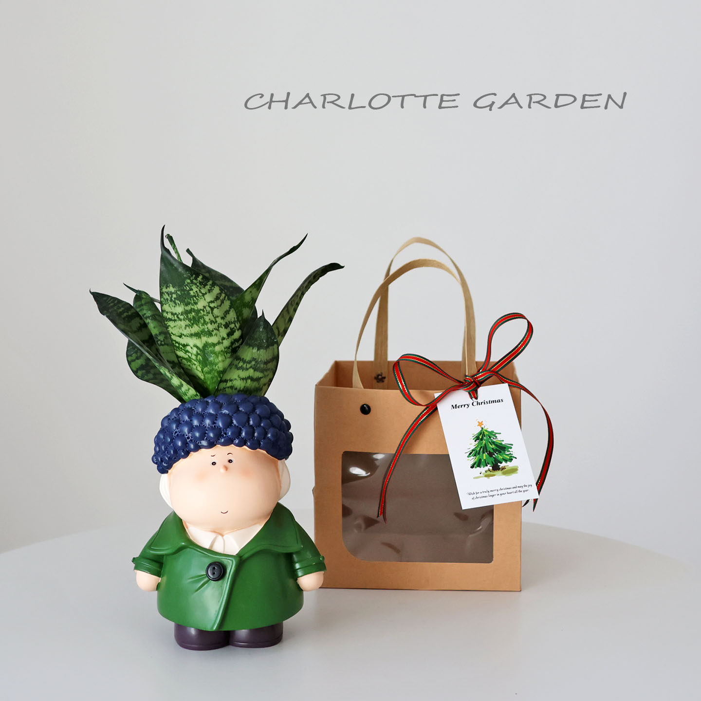 圣诞节新年礼物 卡通可爱 室内办公室工位桌面好养创意绿植盆栽,鲜花速递/花卉仿真/绿植园艺,绿植,淘宝优惠券,粉丝福利购,淘宝优惠卷