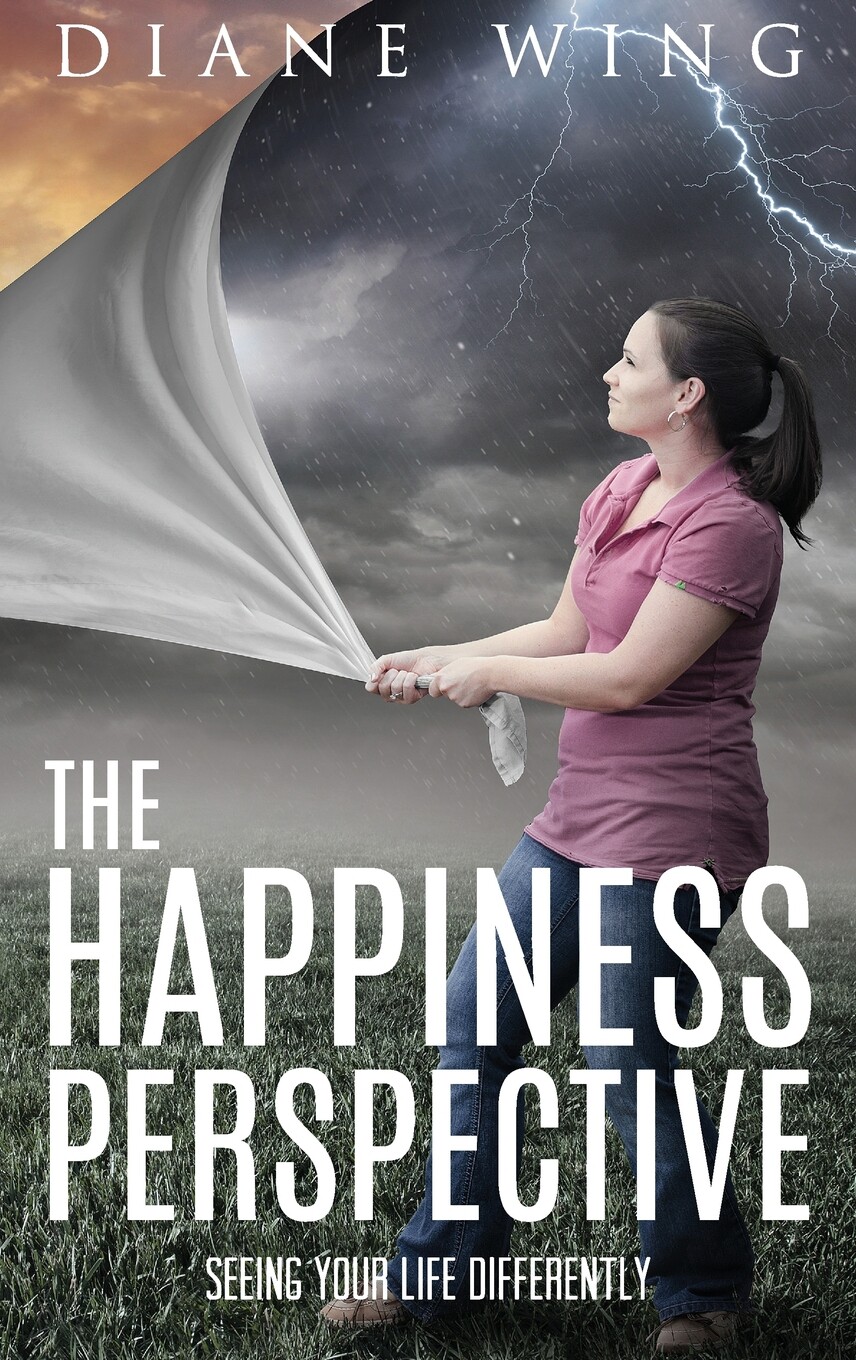 【预售 按需印刷】the happiness perspective