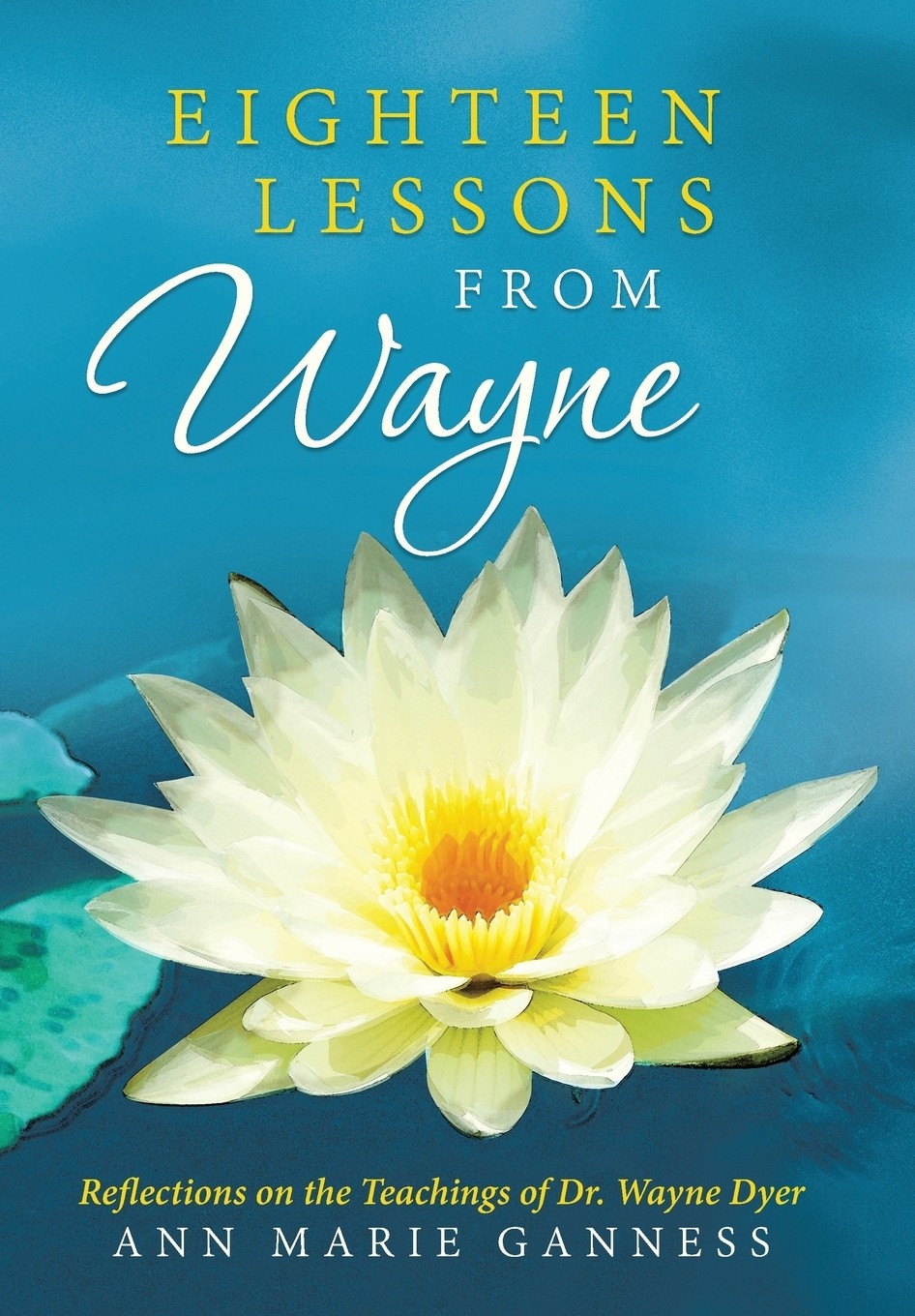 【预售 按需印刷】eighteen lessons from wayne